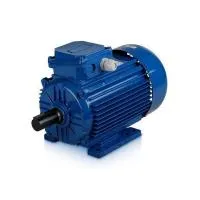 4042300304 Электродвигатель АИС100L2У2-220/380-50IM2081 К31ААА IE1 Э-5 для REMEZA